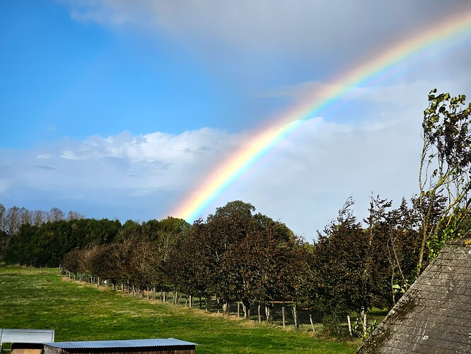 20251004_170146-topaz-denoise