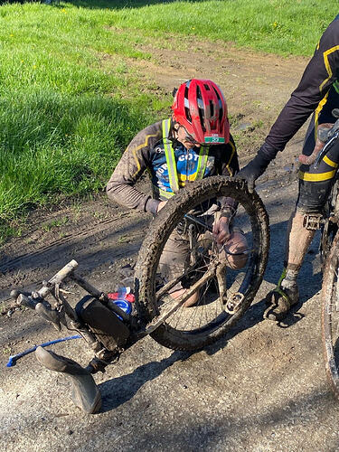 WL8db9FoitPm9vBcR4UgPD02_nq92AZp9hBZKaLlVQ4-1536x2048