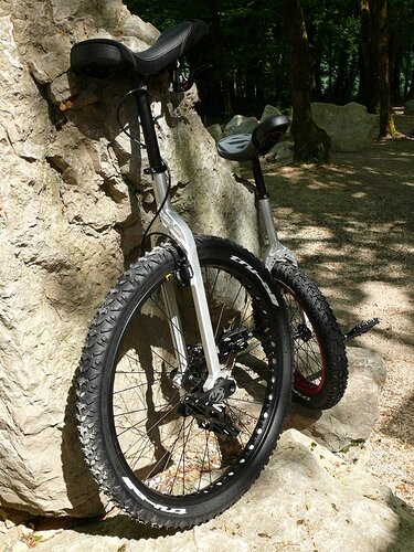 224296_209654344234_n