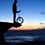 Le_Squale